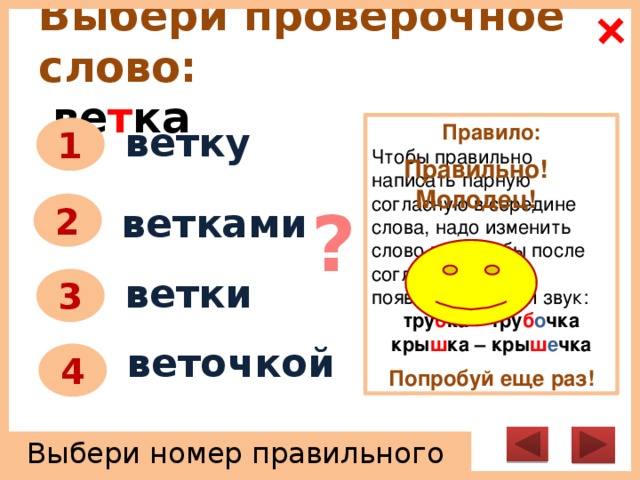 Стояла проверочное. Ветка проверочное слово. Веточка проверочное слово. Проверочное слово к слову ветки. Ветка проверочное слово к нему.