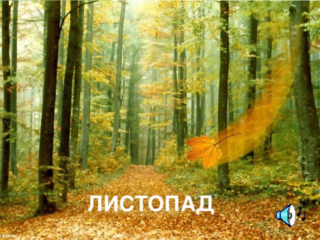 ЛИСТОПАД