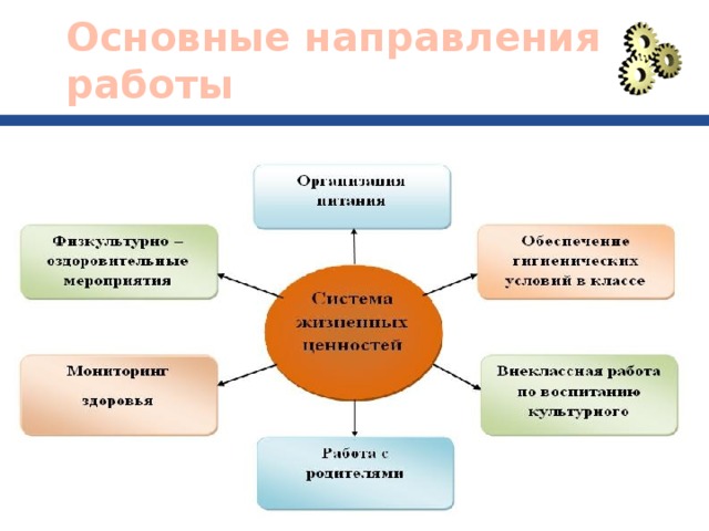 Основные направления работы