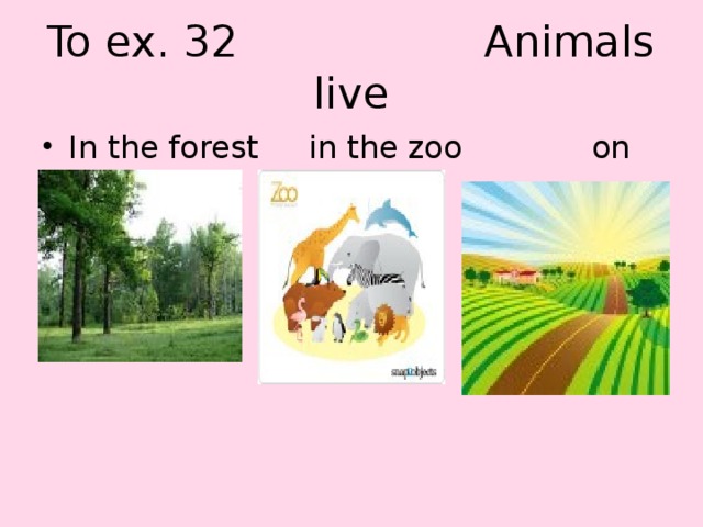 To ex. 32 Animals live