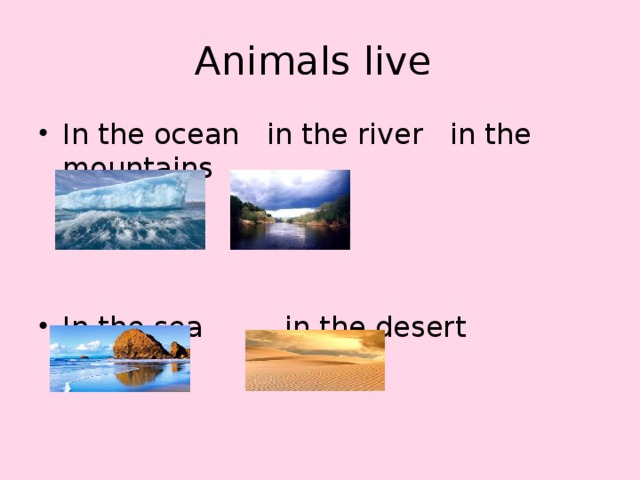 Animals live In the ocean in the river in the mountains In the sea in the desert