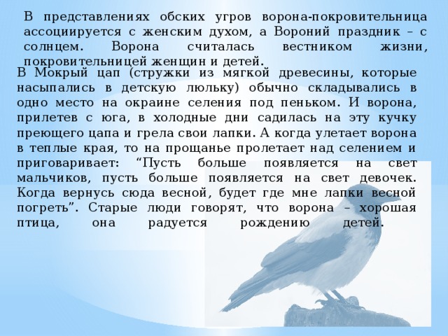 В представлениях обских угров ворона-покровительница ассоциируется с женским духом, а Вороний праздник – с солнцем. Ворона считалась вестником жизни, покровительницей женщин и детей. В Мокрый цап (стружки из мягкой древесины, которые насыпались в детскую люльку) обычно складывались в одно место на окраине селения под пеньком. И ворона, прилетев с юга, в холодные дни садилась на эту кучку преющего цапа и грела свои лапки. А когда улетает ворона в теплые края, то на прощанье пролетает над селением и приговаривает: “Пусть больше появляется на свет мальчиков, пусть больше появляется на свет девочек. Когда вернусь сюда весной, будет где мне лапки весной погреть”. Старые люди говорят, что ворона – хорошая птица, она радуется рождению детей.