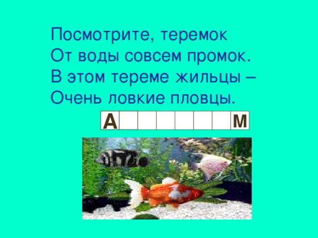 Посмотрите, теремок От воды совсем промок. В этом тереме жильцы – Очень ловкие пловцы. А к М