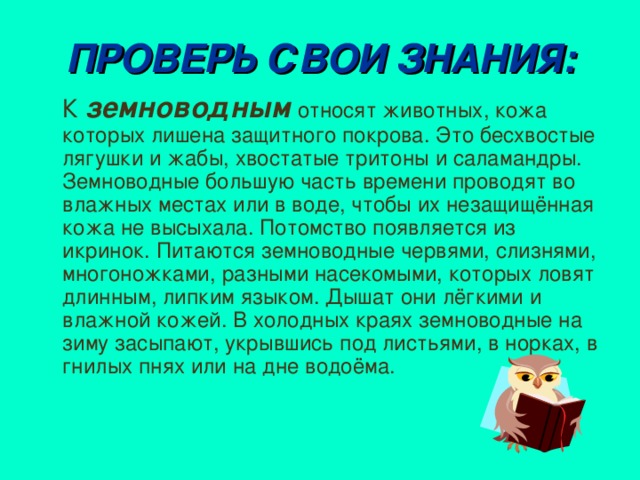 ПРОВЕРЬ СВОИ ЗНАНИЯ:  К земноводным относят животных, кожа которых лишена защитного покрова. Это бесхвостые лягушки и жабы, хвостатые тритоны и саламандры. Земноводные большую часть времени проводят во влажных местах или в воде, чтобы их незащищённая кожа не высыхала. Потомство появляется из икринок. Питаются земноводные червями, слизнями, многоножками, разными насекомыми, которых ловят длинным, липким языком. Дышат они лёгкими и влажной кожей. В холодных краях земноводные на зиму засыпают, укрывшись под листьями, в норках, в гнилых пнях или на дне водоёма.