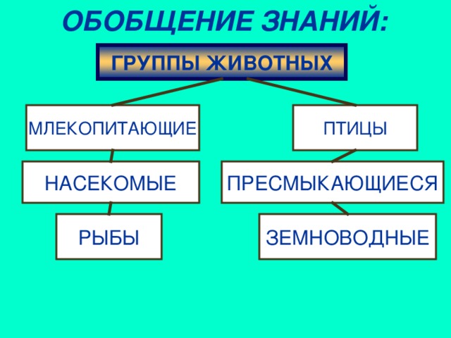 ОБОБЩЕНИЕ ЗНАНИЙ: ГРУППЫ ЖИВОТНЫХ МЛЕКОПИТАЮЩИЕ ПТИЦЫ НАСЕКОМЫЕ ПРЕСМЫКАЮЩИЕСЯ РЫБЫ ЗЕМНОВОДНЫЕ