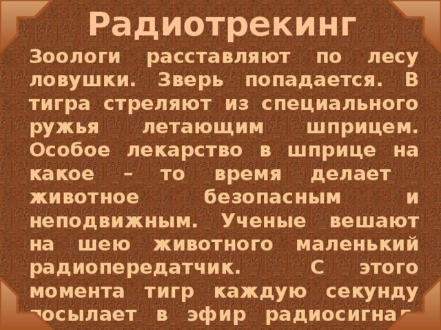 Радиотрекинг Зоологи расставляют по лесу ловушки. Зверь попадается. В тигра стреляют из специального ружья летающим шприцем. Особое лекарство в шприце на какое – то время делает животное безопасным и неподвижным. Ученые вешают на шею животного маленький радиопередатчик. С этого момента тигр каждую секунду посылает в эфир радиосигнал, который можно услышать в специальный радиоприёмник.