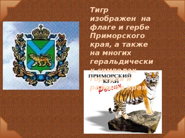 Тигр изображен на флаге и гербе Приморского края, а также на многих геральдических символах городов и районов края.