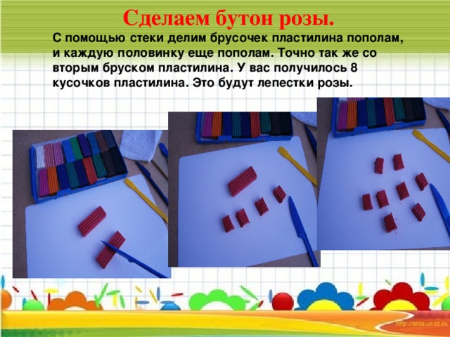 Сделаем бутон розы. С помощью стеки делим брусочек пластилина пополам, и каждую половинку еще пополам. Точно так же со вторым бруском пластилина. У вас получилось 8 кусочков пластилина. Это будут лепестки розы.