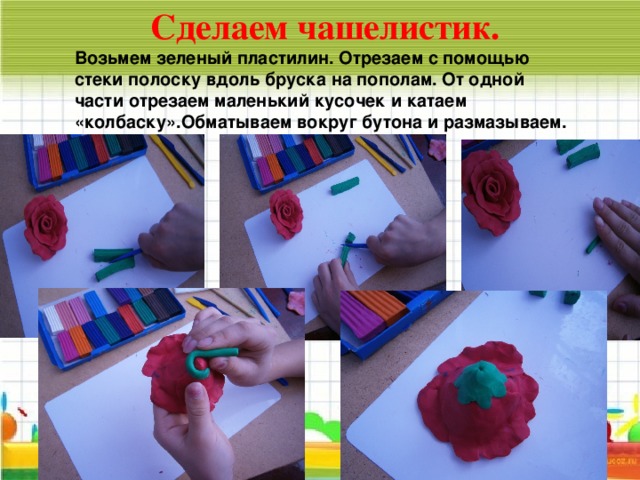 Сделаем чашелистик. Возьмем зеленый пластилин. Отрезаем с помощью стеки полоску вдоль бруска на пополам. От одной части отрезаем маленький кусочек и катаем «колбаску».Обматываем вокруг бутона и размазываем.