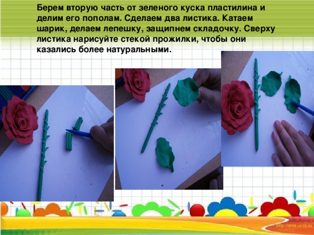 Берем вторую часть от зеленого куска пластилина и делим его пополам. Сделаем два листика. Катаем шарик, делаем лепешку, защипнем складочку. Сверху листика нарисуйте стекой прожилки, чтобы они казались более натуральными.