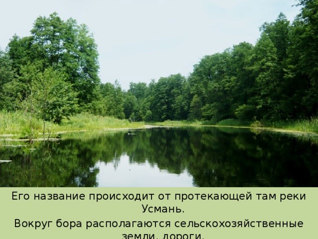Его название происходит от протекающей там реки Усмань. Вокруг бора располагаются сельскохозяйственные земли, дороги. С севера к нему примыкает Воронежский заповедник.