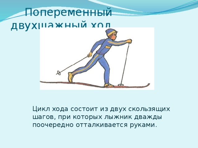 Попеременный двухшажный ход  Цикл хода состоит из двух скользящих шагов, при которых лыжник дважды поочередно отталкивается руками.