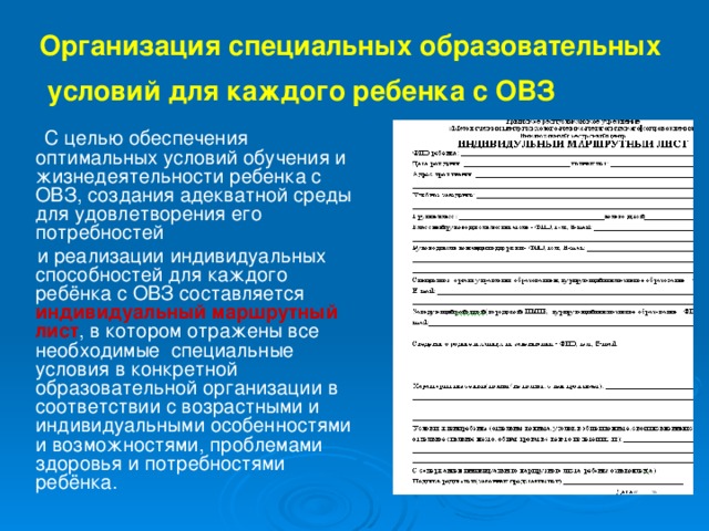 Специальные образовательные условия для детей с овз