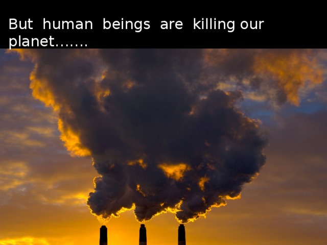 But human beings are killing our planet…….