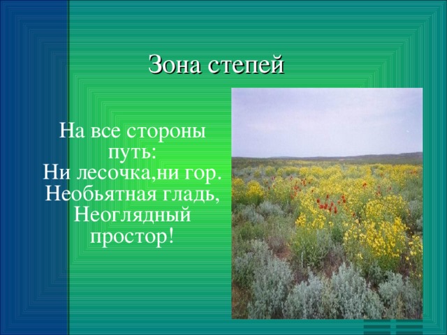 Зона степей На все стороны путь: Ни лесочка,ни гор. Необьятная гладь, Неоглядный простор!