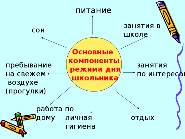 Режим дня презентация обж