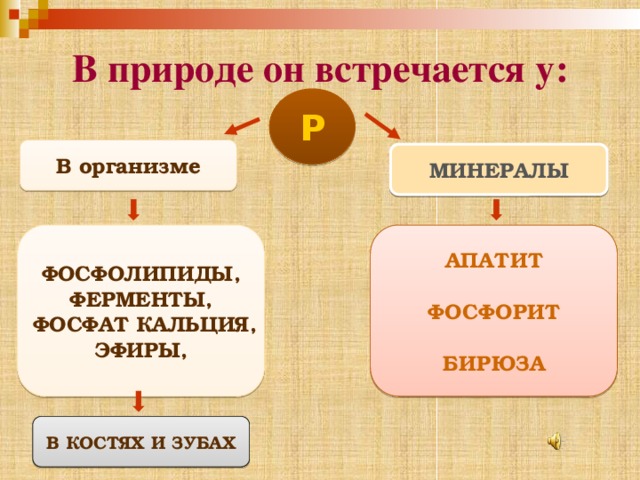 В природе он встречается у: Р В организме МИНЕРАЛЫ ФОСФОЛИПИДЫ, АПАТИТ ФЕРМЕНТЫ,  ФОСФОРИТ  ФОСФАТ КАЛЬЦИЯ,   ЭФИРЫ, БИРЮЗА В КОСТЯХ И ЗУБАХ