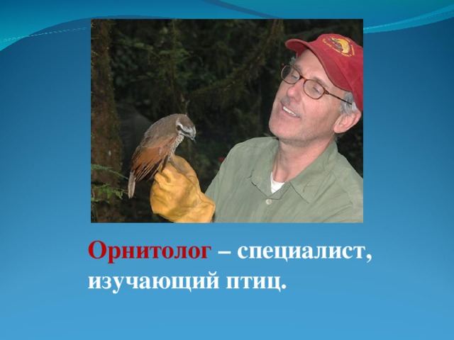 Орнитолог – специалист, изучающий птиц.