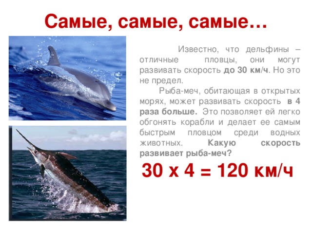 Самые, самые, самые…  Известно, что дельфины – отличные пловцы, они могут развивать скорость до 30 км/ч . Но это не предел.  Рыба-меч, обитающая в открытых морях, может развивать скорость в 4 раза больше. Это позволяет ей легко обгонять корабли и делает ее самым быстрым пловцом среди водных животных. Какую скорость развивает рыба-меч?  30 х 4 = 120 км/ч