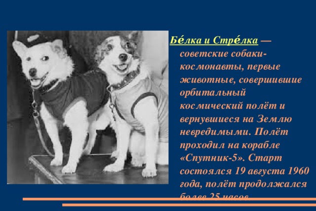 Бе́лка и Стре́лка —  советские собаки-космонавты, первые животные, совершившие орбитальный космический полёт и вернувшиеся на Землю невредимыми. Полёт проходил на корабле «Спутник-5». Старт состоялся 19 августа 1960 года, полёт продолжался более 25 часов.