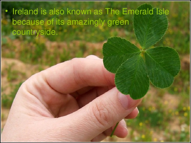 Ireland is also known as The Emerald Isle because of its amazingly green countryside.