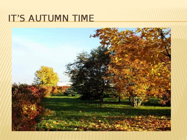 It’s autumn time