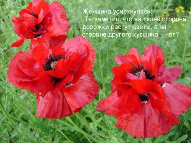 Женщина усмехнулась: Ты заметил, что на твоей стороне дорожки растут цветы, а на стороне другого кувшина – нет?