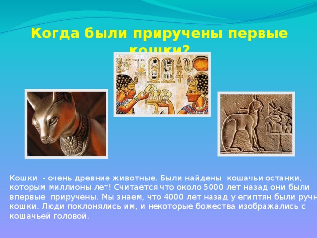 Кошка была приручена в древнем. Как древние египтяне поклонялись кошкам. Фотографии животных которым поклонялись египтяне. Укажи животных которых в древнем Египте считали священными. Почему Египет поклонялся зверям.