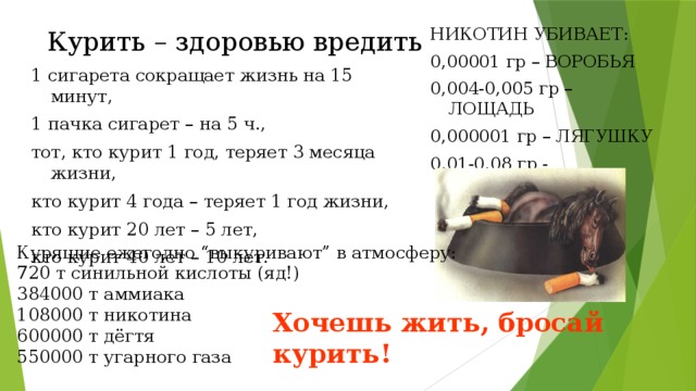 НИКОТИН УБИВАЕТ: 0,00001 гр – ВОРОБЬЯ 0,004-0,005 гр – ЛОЩАДЬ 0,000001 гр – ЛЯГУШКУ 0,01-0,08 гр - ЧЕЛОВЕКА Курить – здоровью вредить 1 сигарета сокращает жизнь на 15 минут, 1 пачка сигарет – на 5 ч., тот, кто курит 1 год, теряет 3 месяца жизни, кто курит 4 года – теряет 1 год жизни, кто курит 20 лет – 5 лет, кто курит 40 лет – 10 лет. Курящие ежегодно “выкуривают” в атмосферу: 720 т синильной кислоты (яд!) 384000 т аммиака 108000 т никотина 600000 т дёгтя 550000 т угарного газа Хочешь жить, бросай курить!