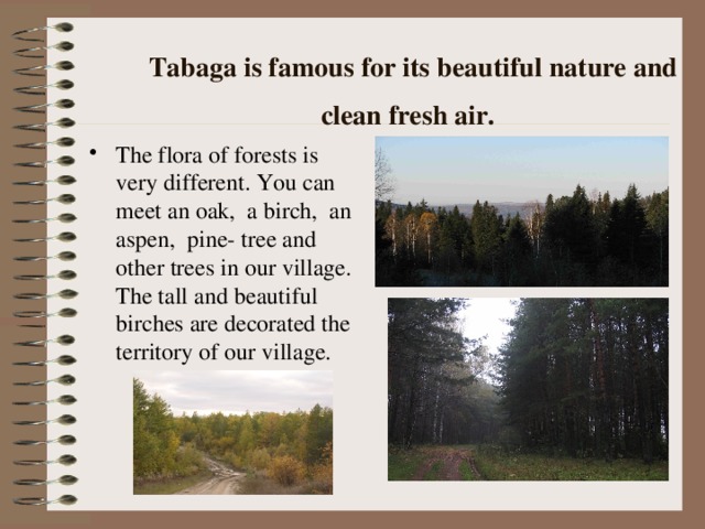 Tabaga is famous for its beautiful nature and clean fresh air.