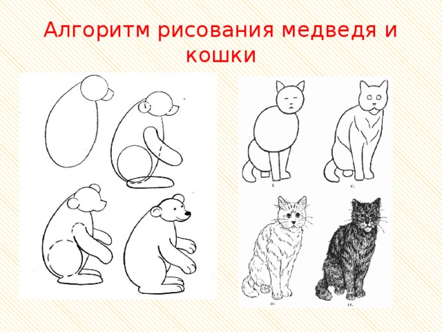 Алгоритм рисования медведя и кошки