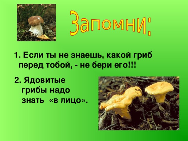 1. Если ты не знаешь, какой гриб перед тобой, - не бери его!!! 2. Ядовитые грибы надо знать «в лицо».