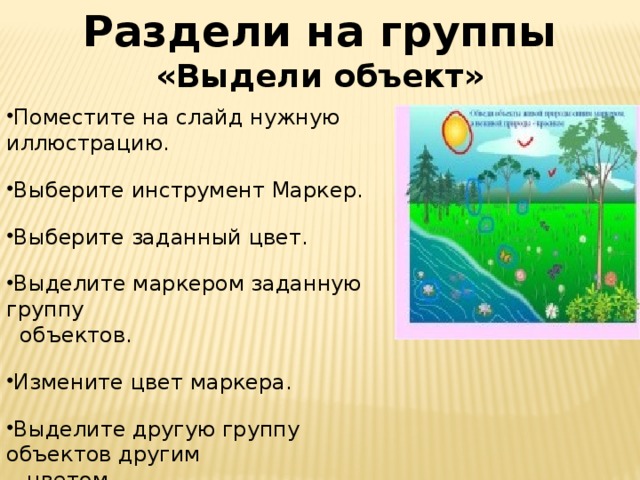 Раздели на группы «Выдели объект» Поместите на слайд нужную иллюстрацию. Выберите инструмент Маркер. Выберите заданный цвет. Выделите маркером заданную группу  объектов. Измените цвет маркера. Выделите другую группу объектов другим  цветом.