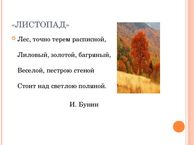 Шумел листопад леса покорно и печально план