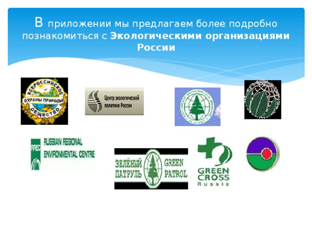 В приложении мы предлагаем более подробно познакомиться с Экологическими организациями России