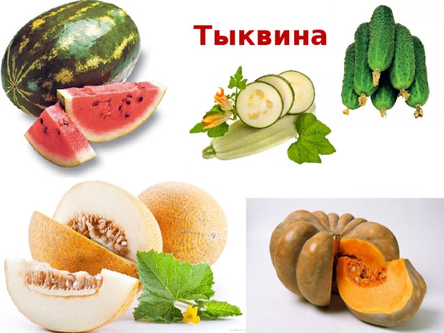 Тыквина