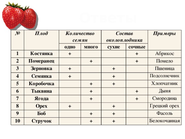 Сирень тополь морковь имя. Таблица по биологии 6 класс тема плоды. Название плода Тип плода сочный. Плоды классификация плодов таблица. Типы плодов растений таблица.