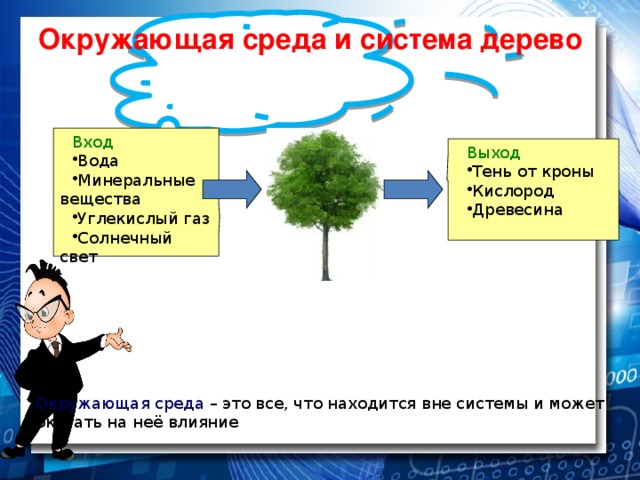 Укажите входы и выходы. Дерево углекислый ГАЗ кислород. Пример взаимодействия системы и среды. Система дерева. Информатика и окружающая среда.