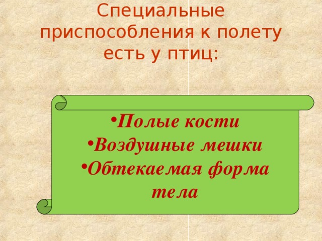 Специальные приспособления к полету есть у птиц:   Полые кости Воздушные мешки Обтекаемая форма тела