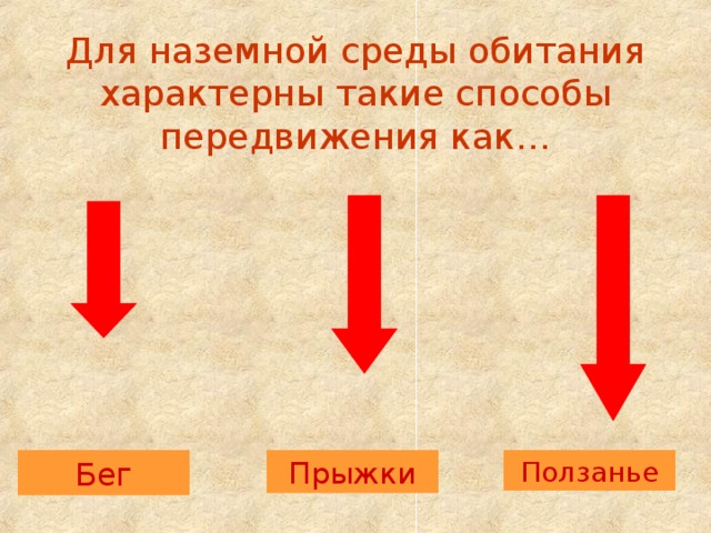 Для наземной среды обитания характерны такие способы передвижения как… Бег Прыжки Ползанье