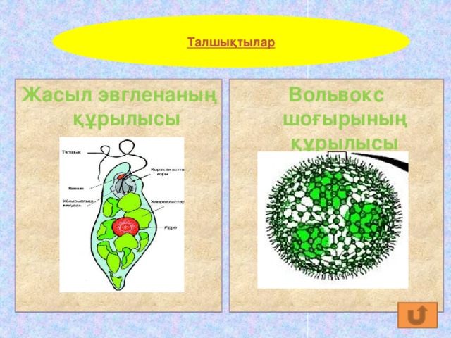 Жасыл химия презентация