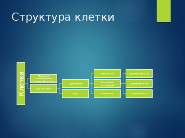 Клетка Структура клетки Одномембранные Гиалоплазма Мембрана (плазмалемма) + клеточная стенка Цитоплазма Двумембранные Органоиды (органеллы) Протоплазма Немембранные Включения Ядро