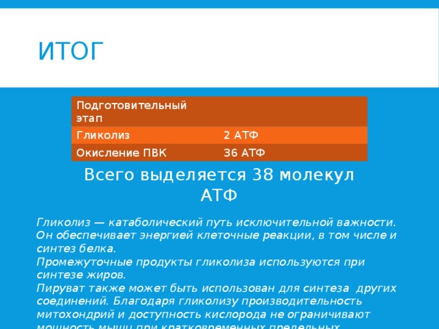 Итог Подготовительный этап Гликолиз 2 АТФ Окисление ПВК 36 АТФ Всего выделяется 38 молекул АТФ Гликолиз — катаболический путь исключительной важности. Он обеспечивает энергией клеточные реакции, в том числе и синтез белка. Промежуточные продукты гликолиза используются при синтезе жиров. Пируват также может быть использован для синтеза других соединений. Благодаря гликолизу производительность митохондрий и доступность кислорода не ограничивают мощность мышц при кратковременных предельных нагрузках.