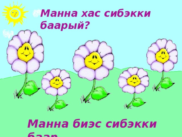 Бу тугуй? Бу сибэкки