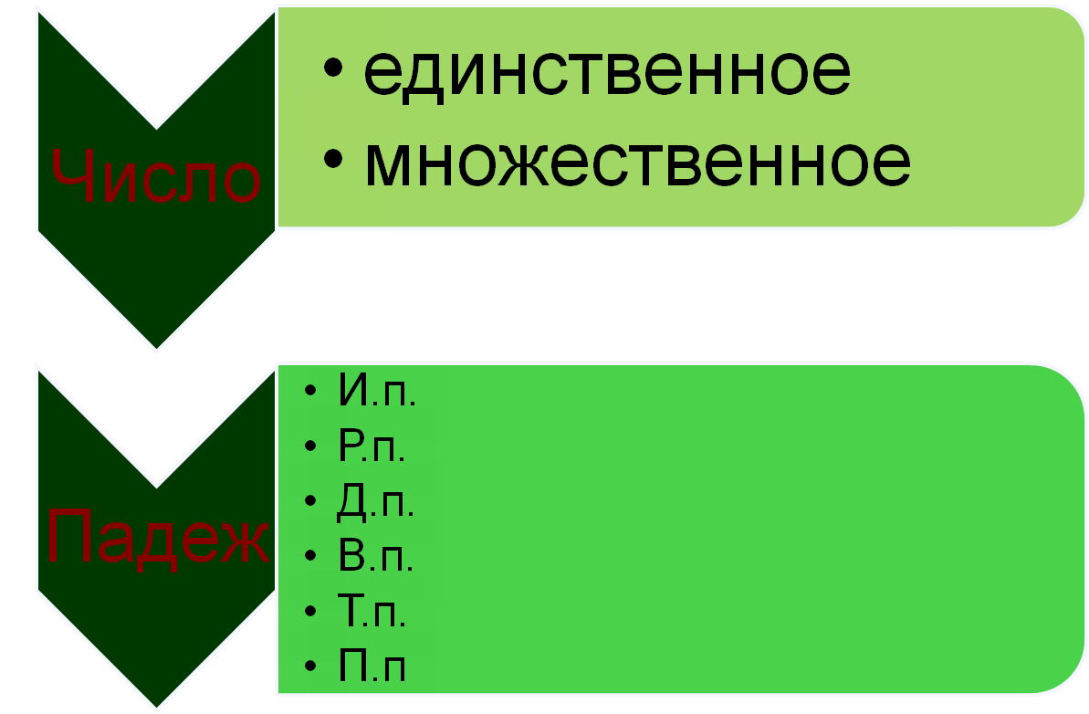 Форма количества. Может быть единственным и множественным. Непостоянные объекты.