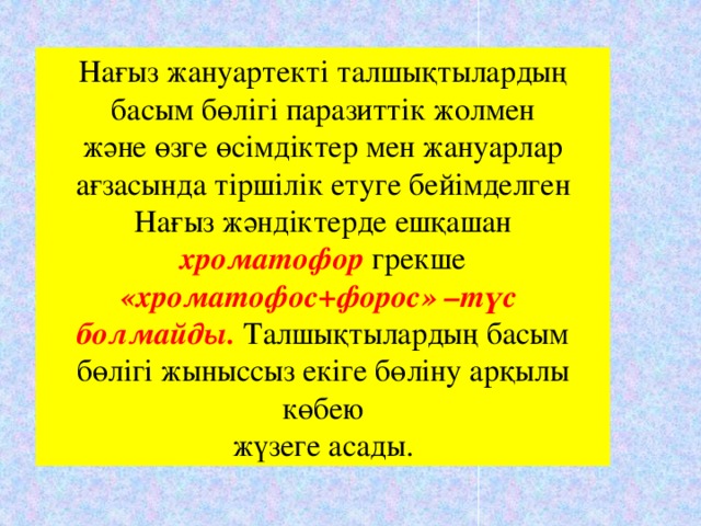 Нағыз жануартекті талшықтылардың басым бөлігі паразиттік жолмен және өзге өсімдіктер мен жануарлар ағзасында тіршілік етуге бейімделген Нағыз жәндіктерде ешқашан хроматофор грекше «хроматофос+форос» –түс болмайды. Талшықтылардың басым бөлігі жыныссыз екіге бөліну арқылы көбею жүзеге асады.