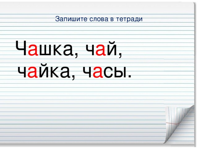 Запишите слова в тетради  Ч а шка, ч а й, ч а йка, ч а сы.