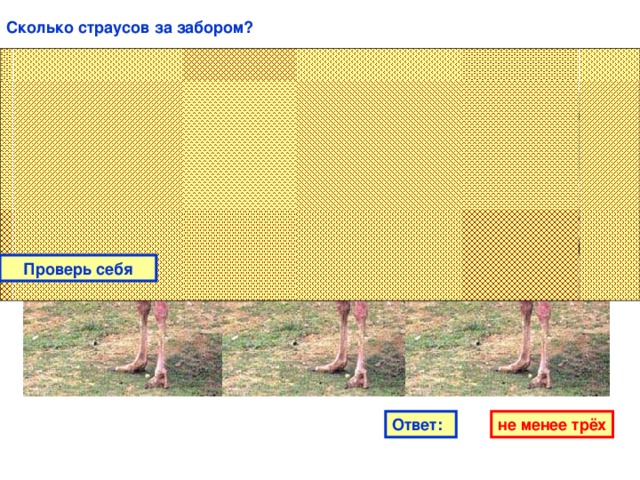 Сколько страусов за забором? Проверь себя Ответ: не менее трёх