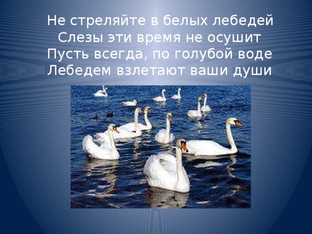 Не стреляйте в белых лебедей  Слезы эти время не осушит  Пусть всегда, по голубой воде  Лебедем взлетают ваши души   
