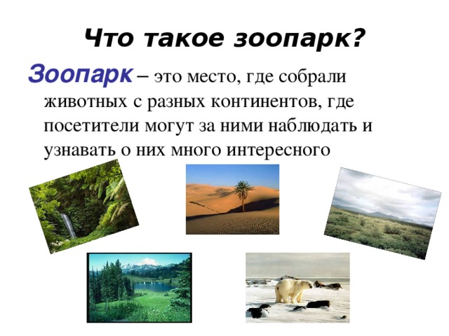 Что такое зоопарк 1 класс. Зоопарк это определение для детей. Доклад на тему зоопарк. Что такое зоосад определение. Что такое зоопарк 3 класс.